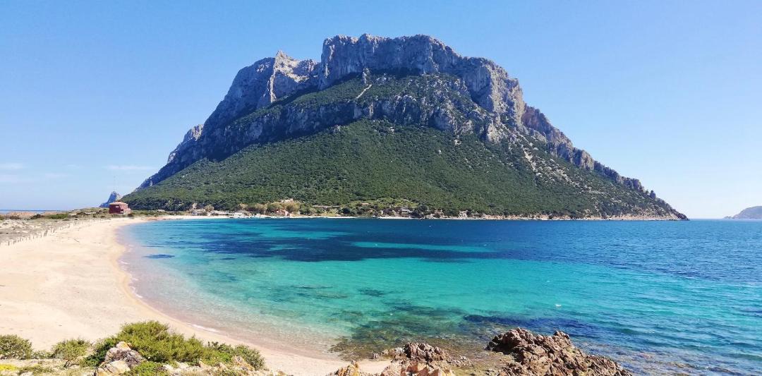 Photo of Others in San Teodoro