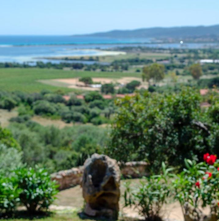 Photo of Others in San Teodoro