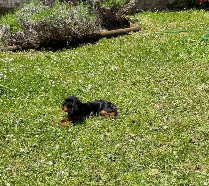 Photo of Outdoor in Sellano