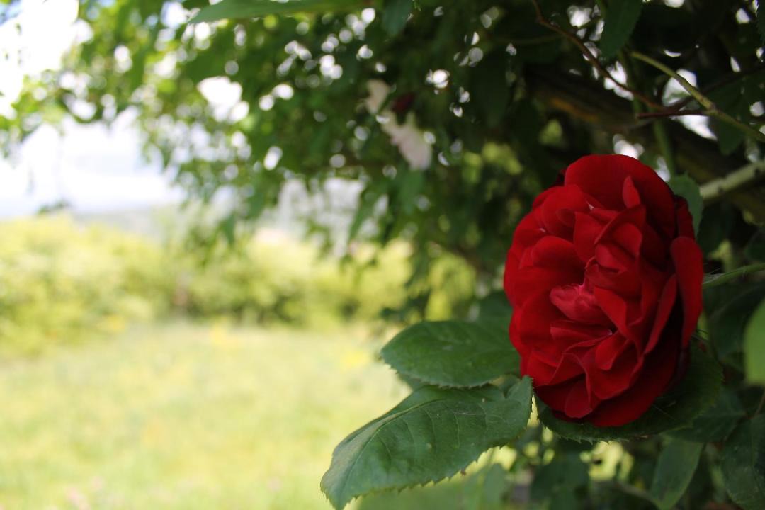 Photo of Outdoor in Poggio Picenze