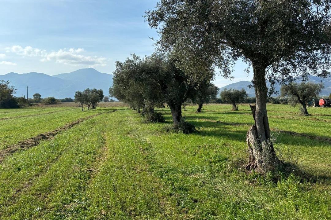 Photo of Others in Venafro