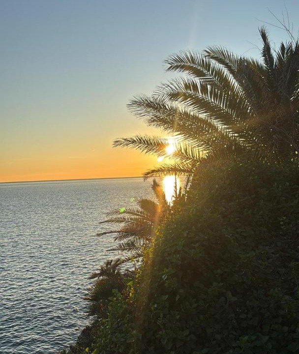 Photo of Others in Nervi