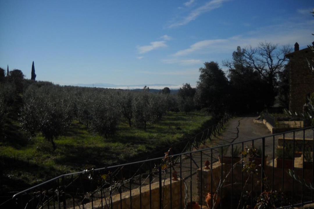 Photo of Others in Villa A Sesta