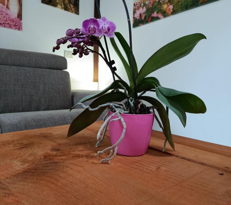 Photo of Livingroom in Mezzomerico