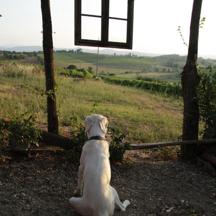 Photo of Others in Ferretto