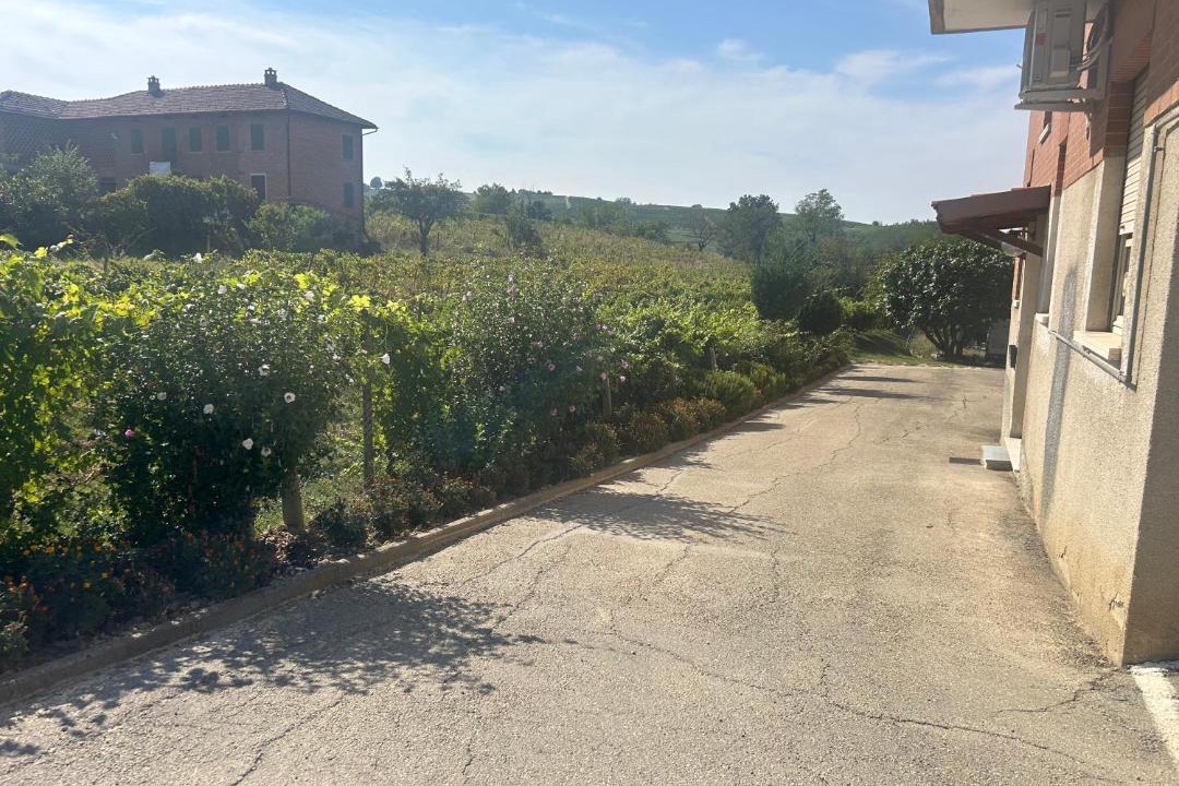 Photo of Others in Montegrosso dʼAsti