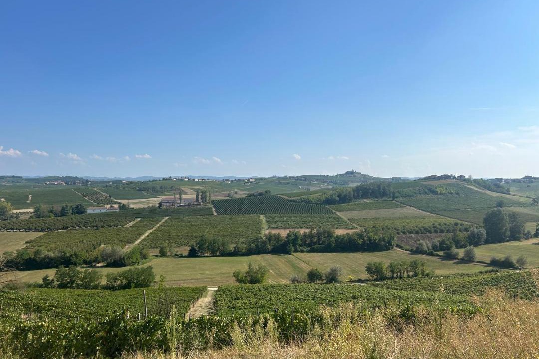 Photo of Others in Montegrosso dʼAsti