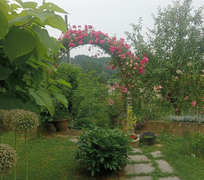 Photo of Others in Asti