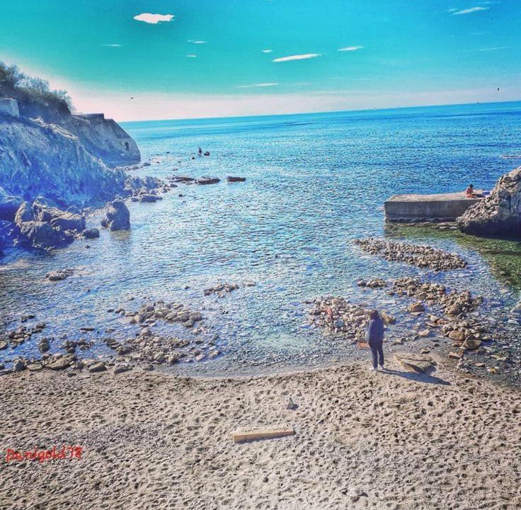 Photo of Others in Livorno
