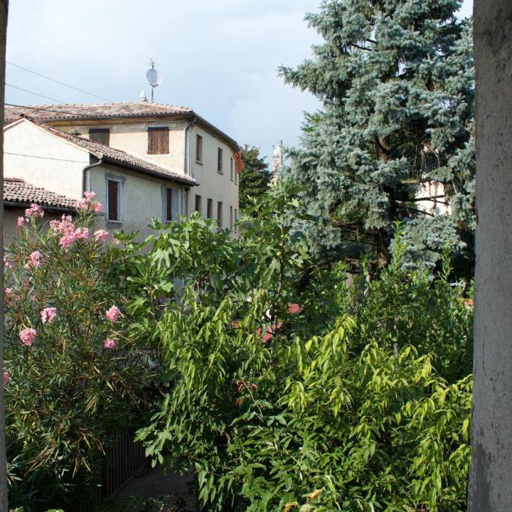 Photo of Others in Borso del Grappa
