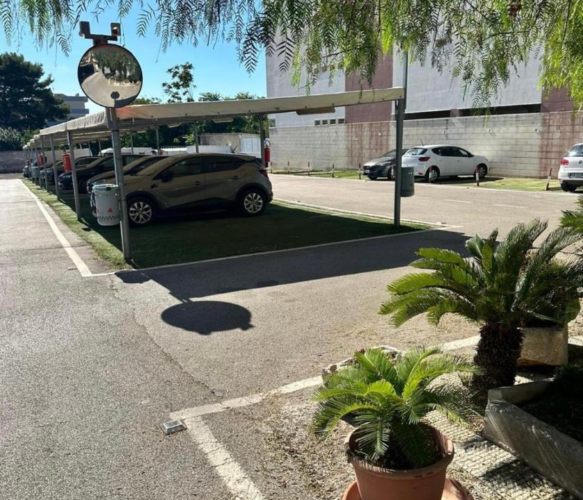 Photo of Others in Bitritto