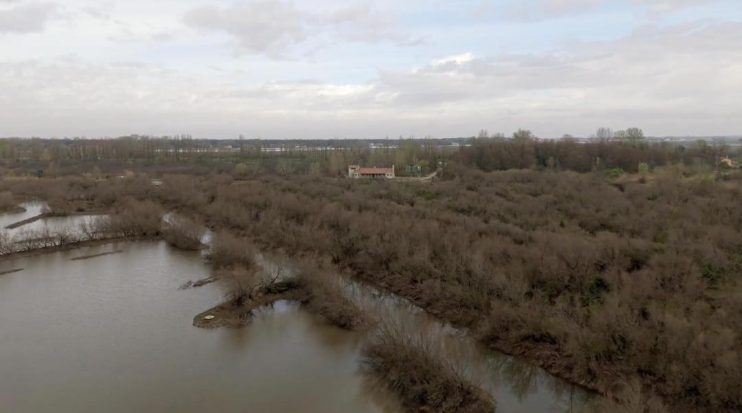 Photo of Others in Rosolina