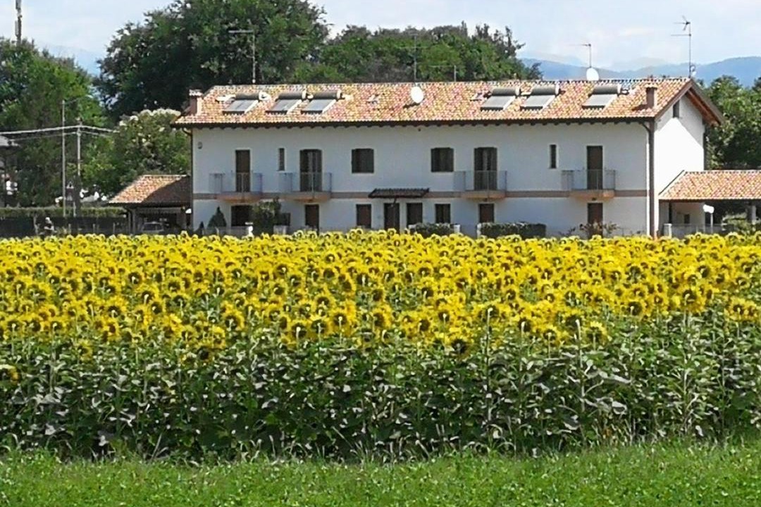 Photo of Others in Gradisca d'Isonzo