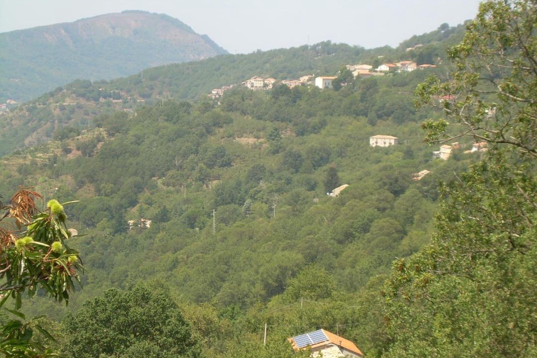 Photo of Outdoor in Tortorici
