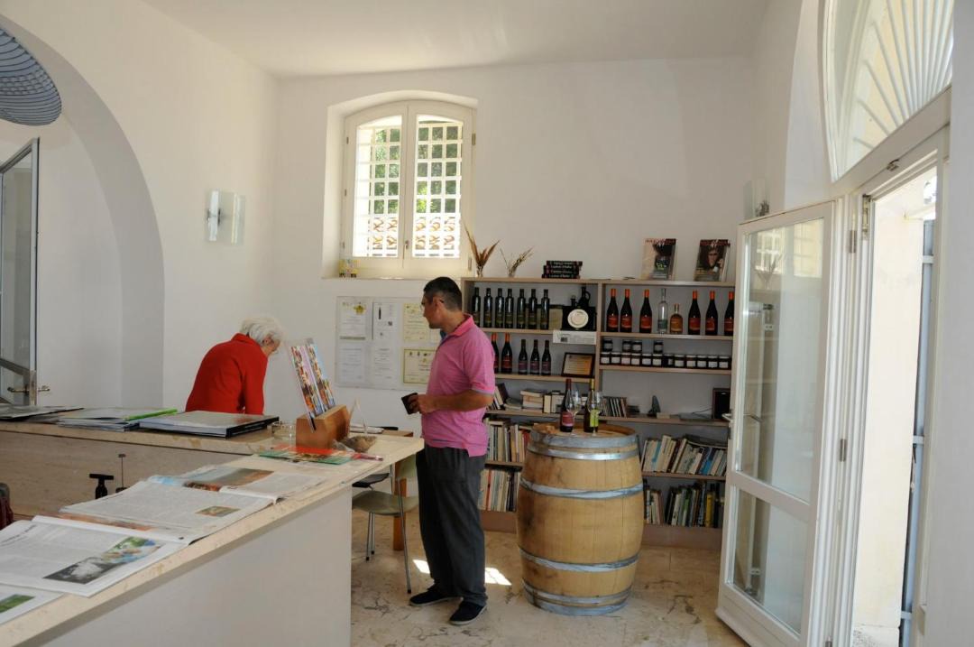 Photo of Others in Massa Marittima