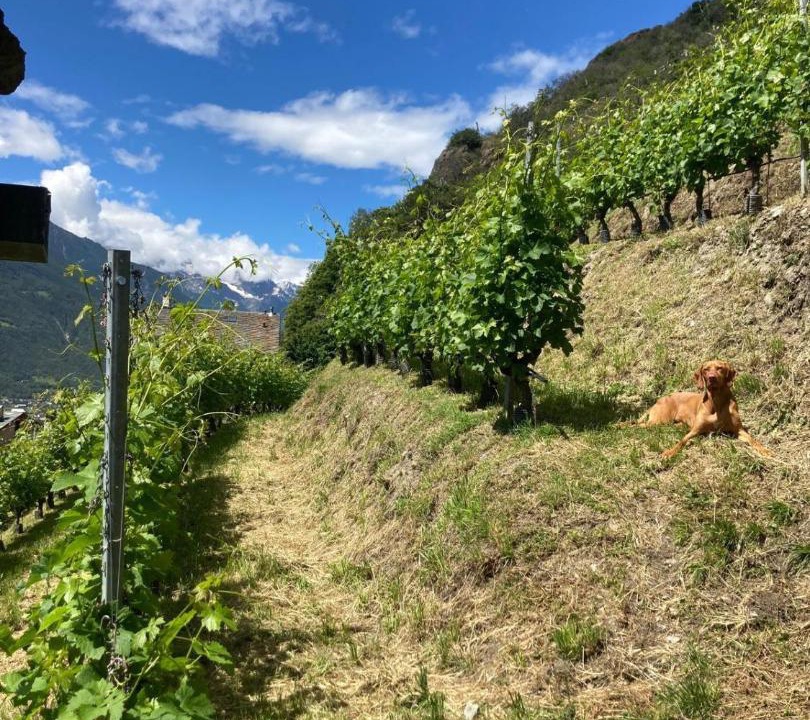 Photo of Others in Chatillon