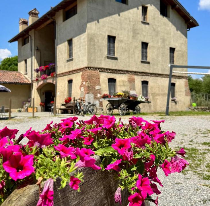 Photo of Others in Montesiro