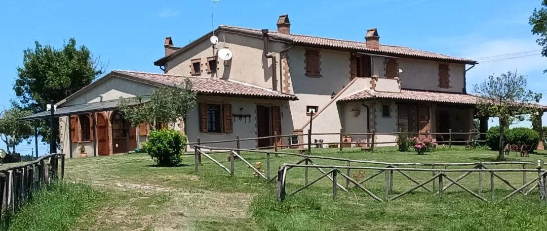 Photo of Others in Montorsaio
