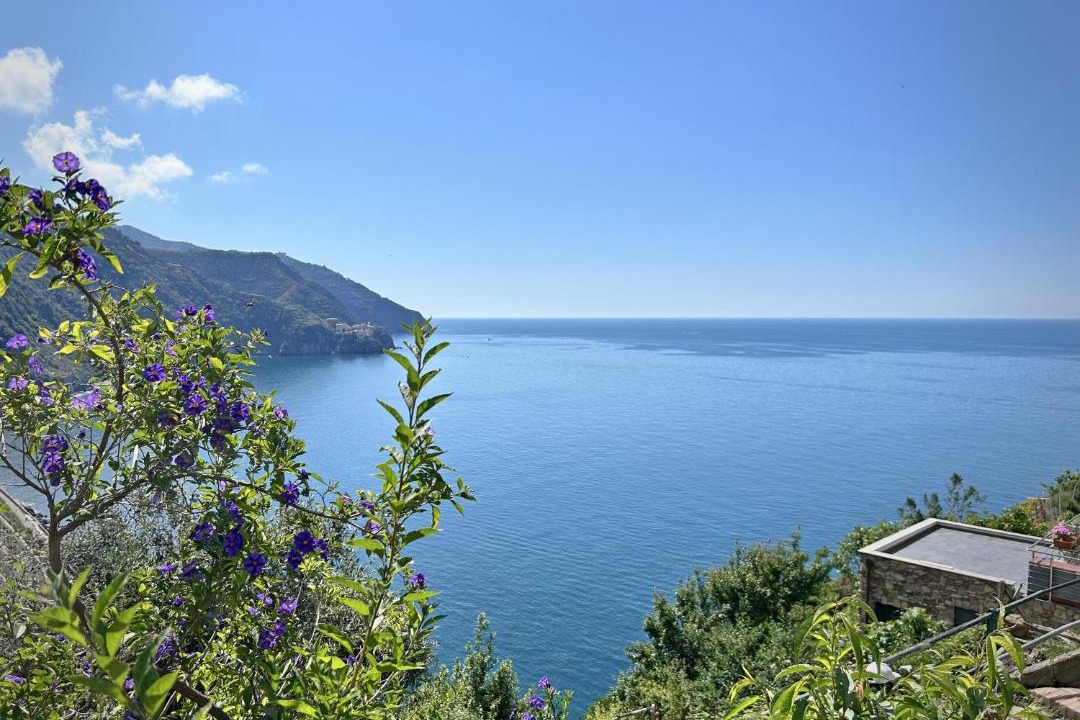 Photo of Others in Corniglia