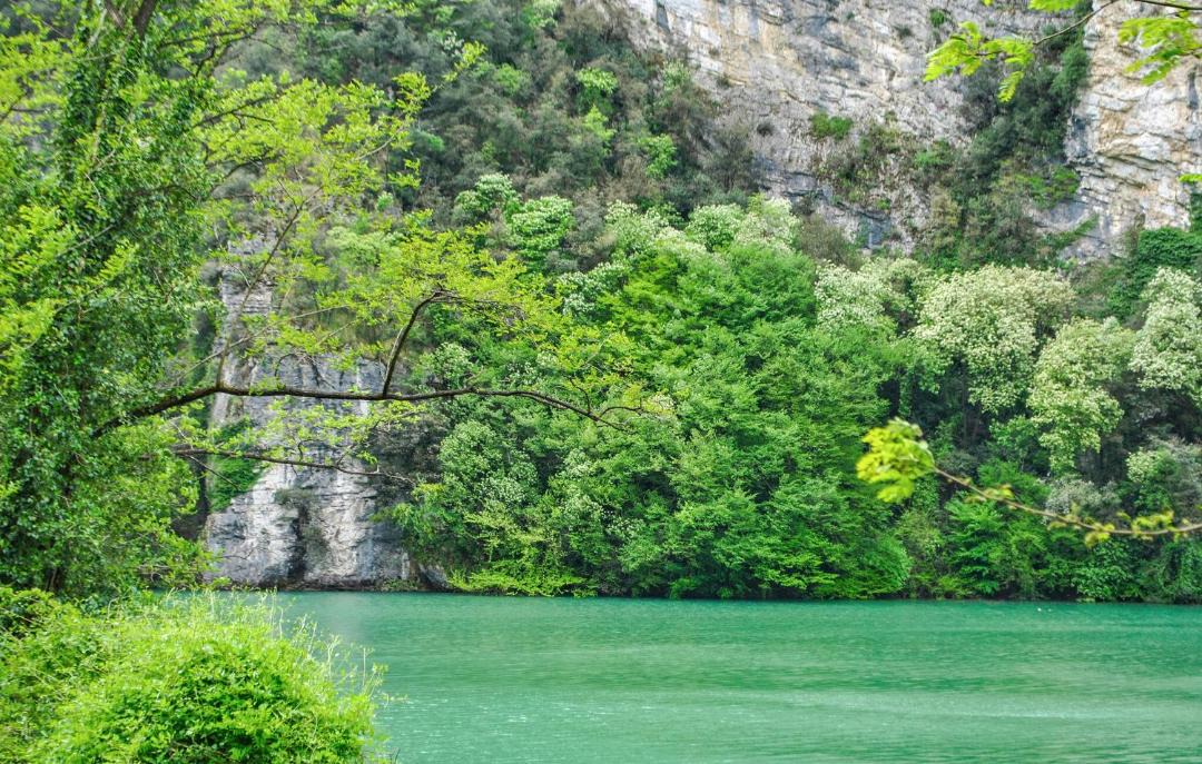 Photo of Others in San Romano in Garfagnana