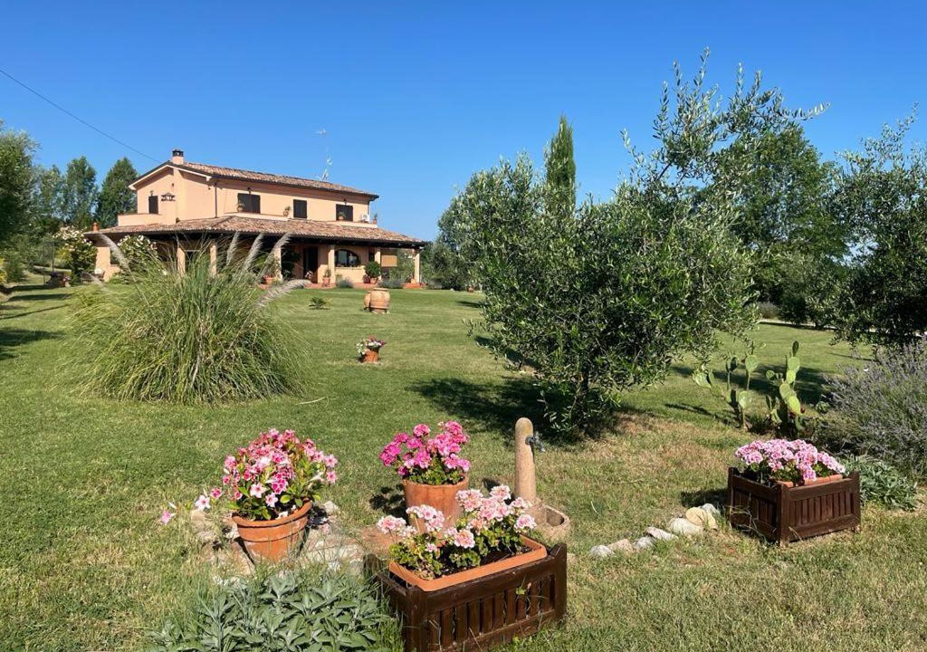 Photo of Others in Coriano