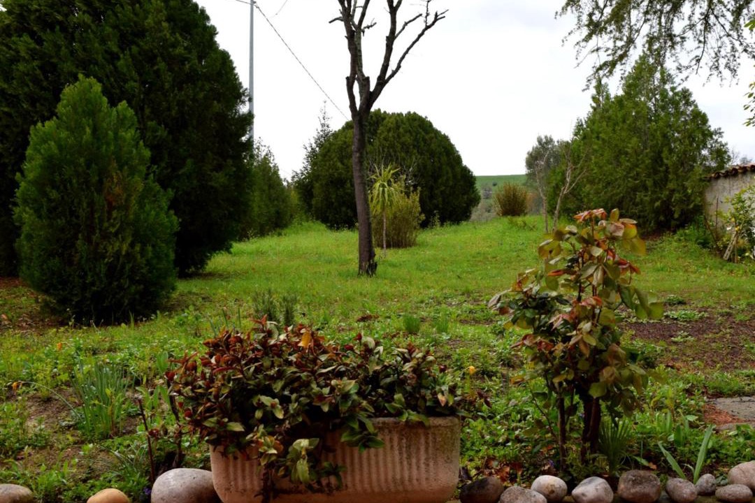 Photo of Outdoor in Bellante