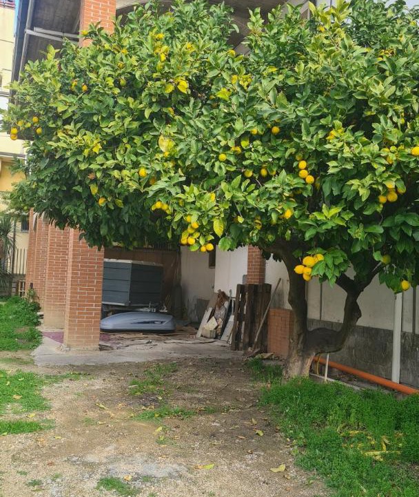 Photo of Others in Roseto degli Abruzzi