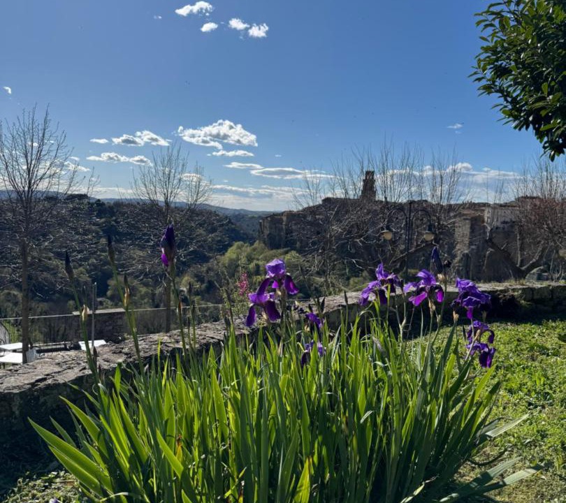 Photo of Others in Pitigliano