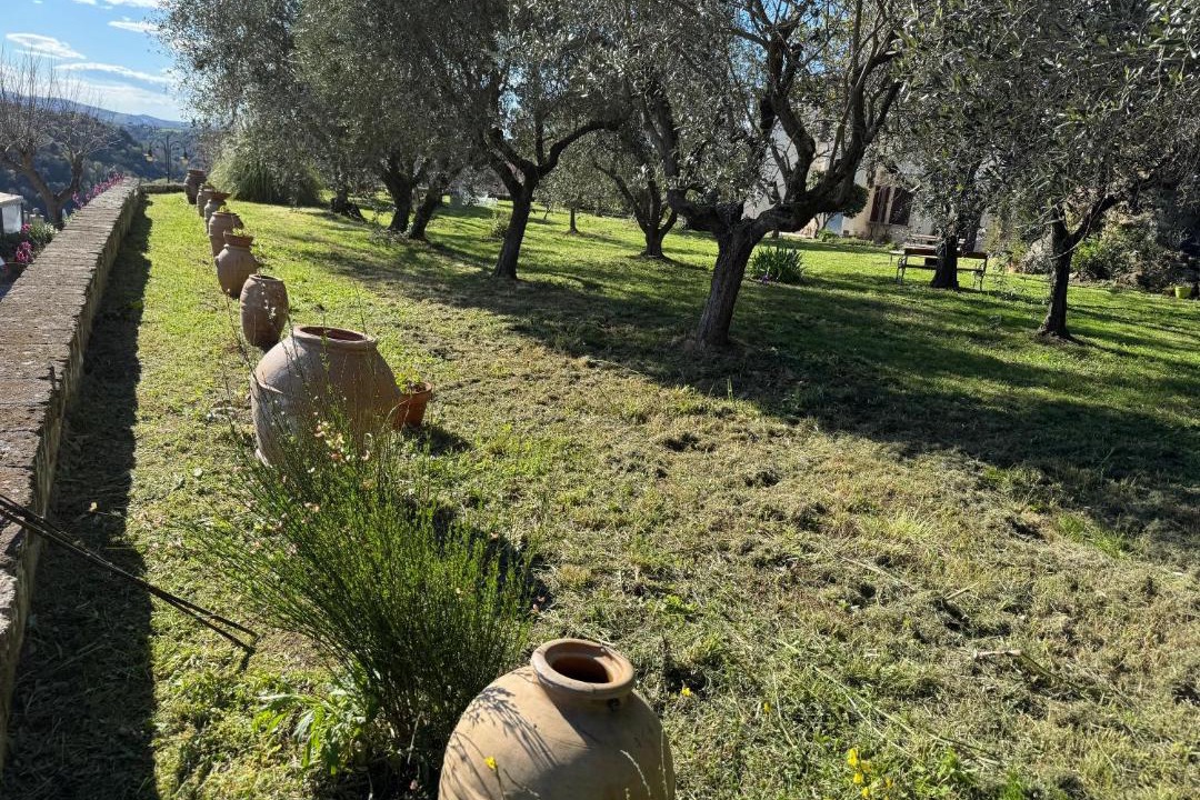Photo of Outdoor in Pitigliano