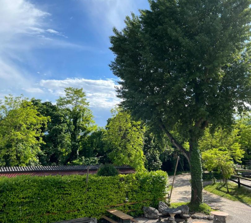 Photo of Outdoor in Dardago