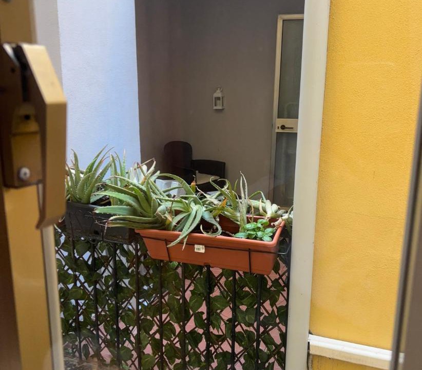 Photo of Others in Chioggia