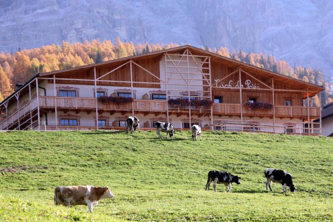 Photo of Others in San Cassiano