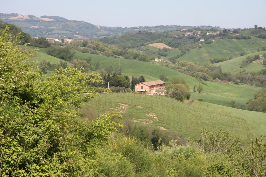 Photo of Others in Barchi