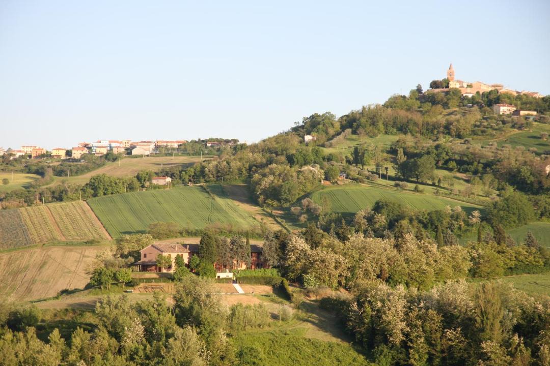 Photo of Others in Barchi