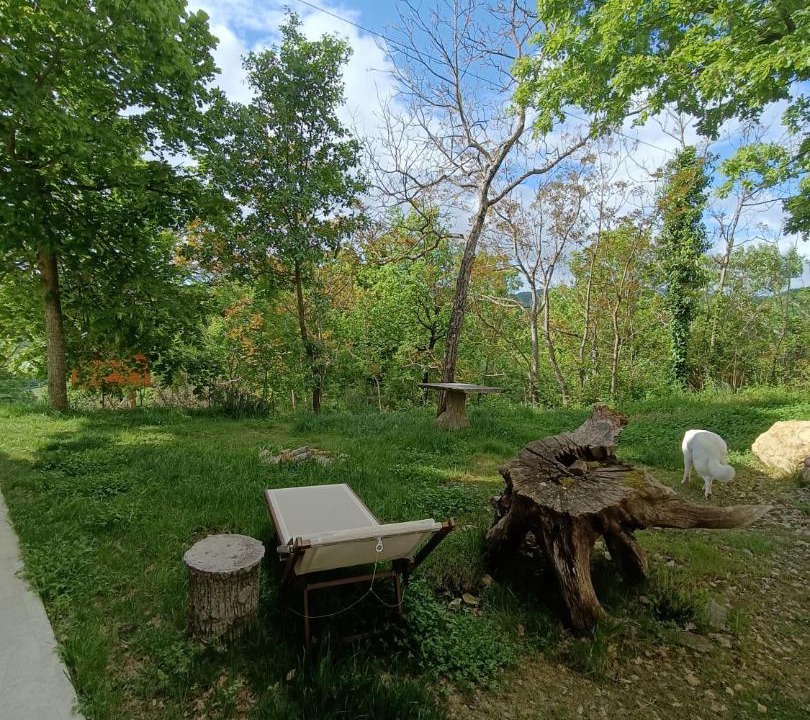 Photo of Outdoor in Sestino