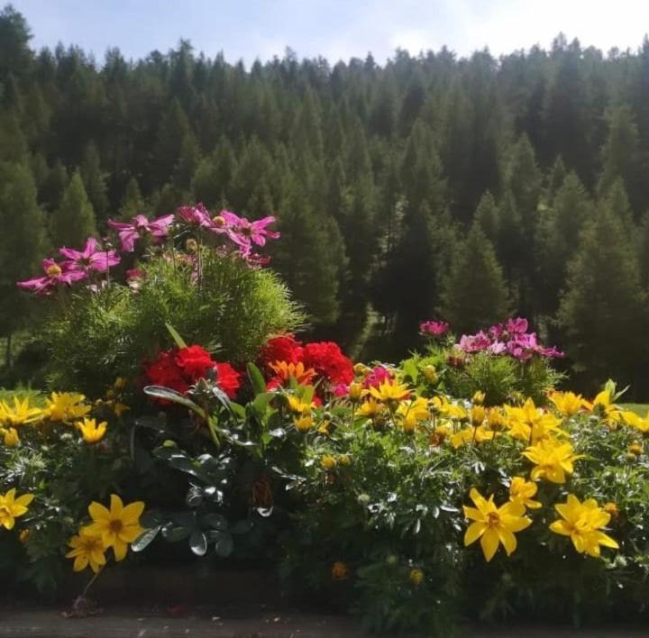 Photo of Outdoor in Grangesises
