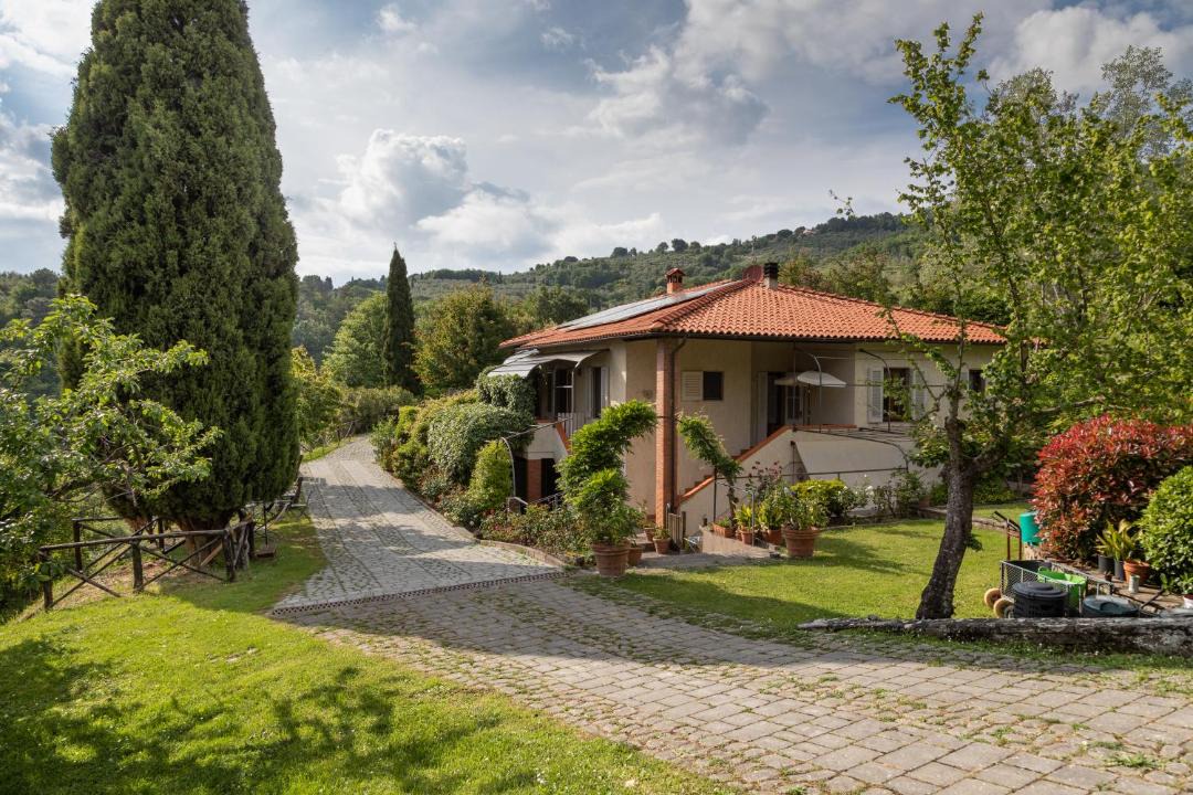 Photo of Others in Castelfranco di Sopra
