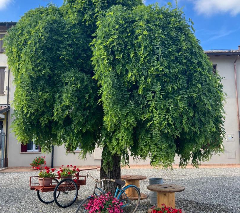Photo of Others in Torrile