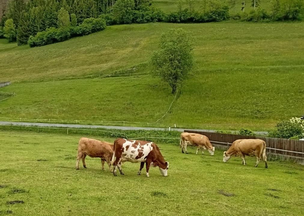 Photo of Others in Dosoledo