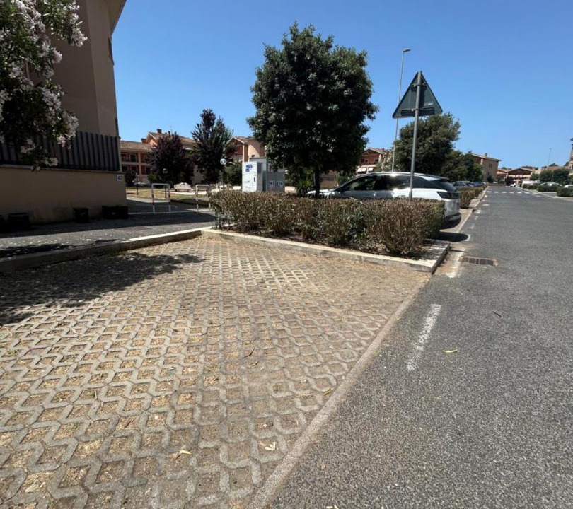 Photo of Others in Palidoro