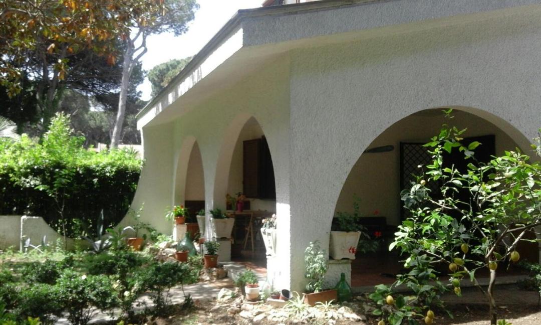 Photo of Buildings in Fregenae