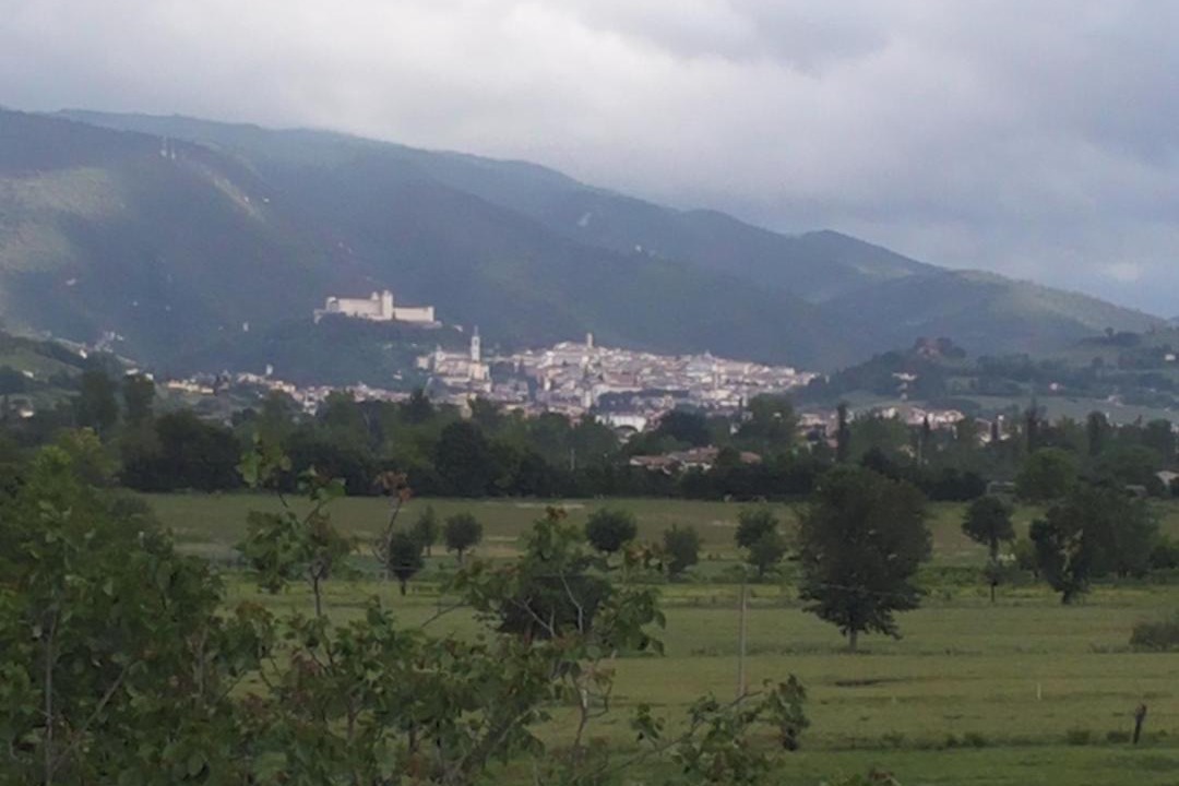Photo of Others in San Brizio
