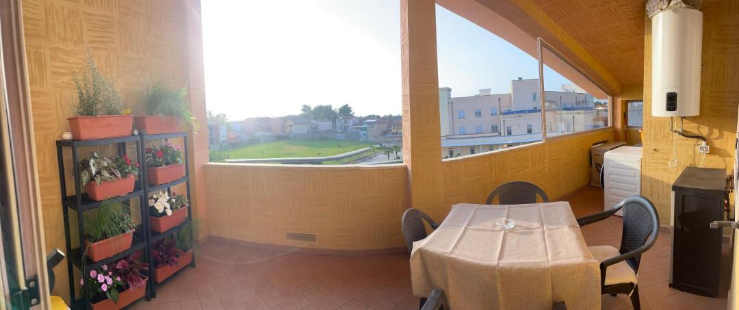 Photo of Others in Oristano
