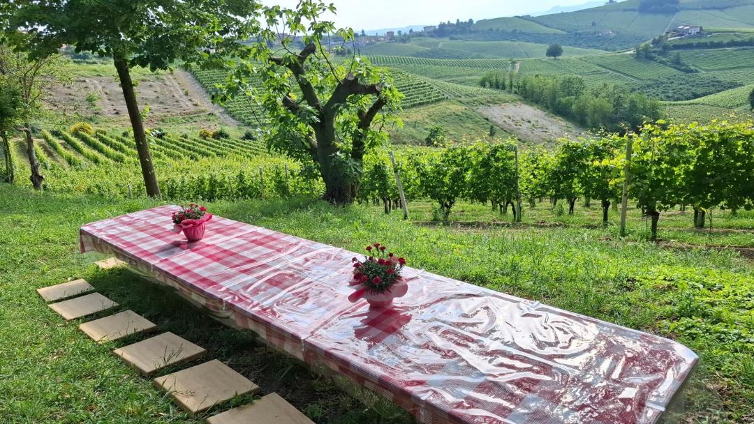 Photo of Others in Barbaresco