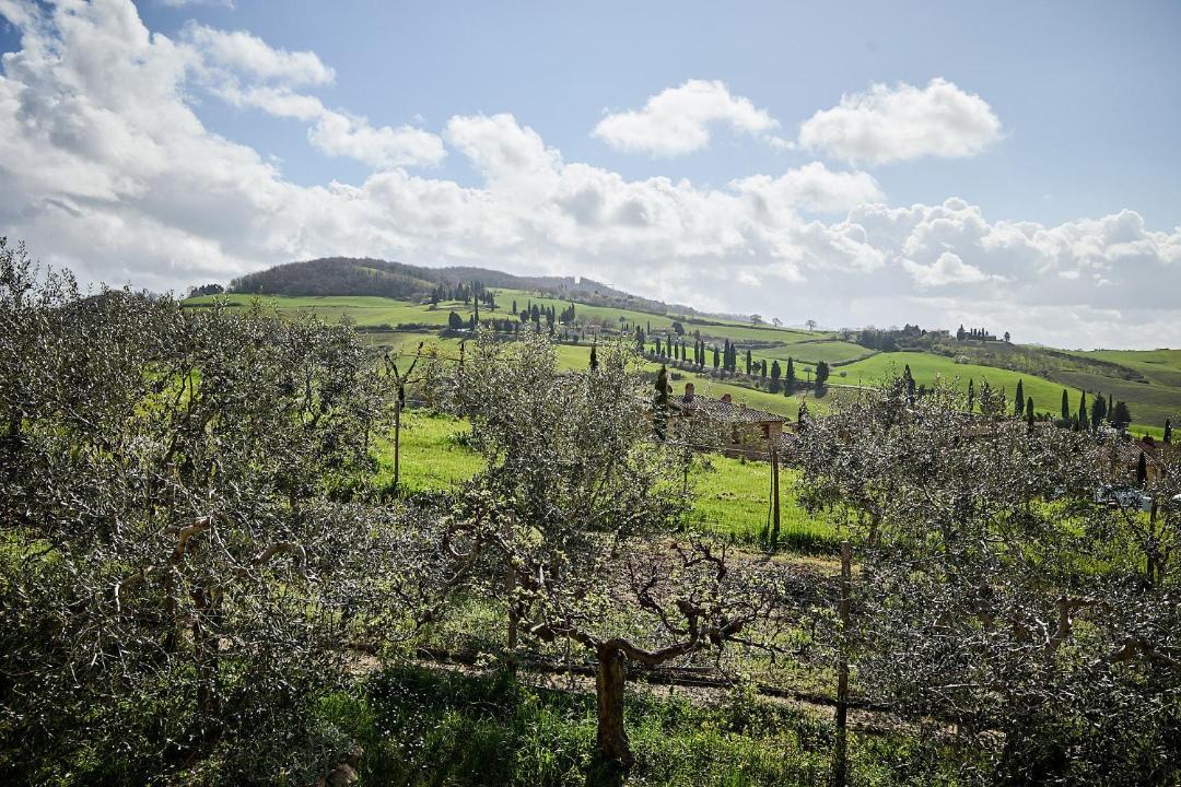 Photo of Others in Monticchiello