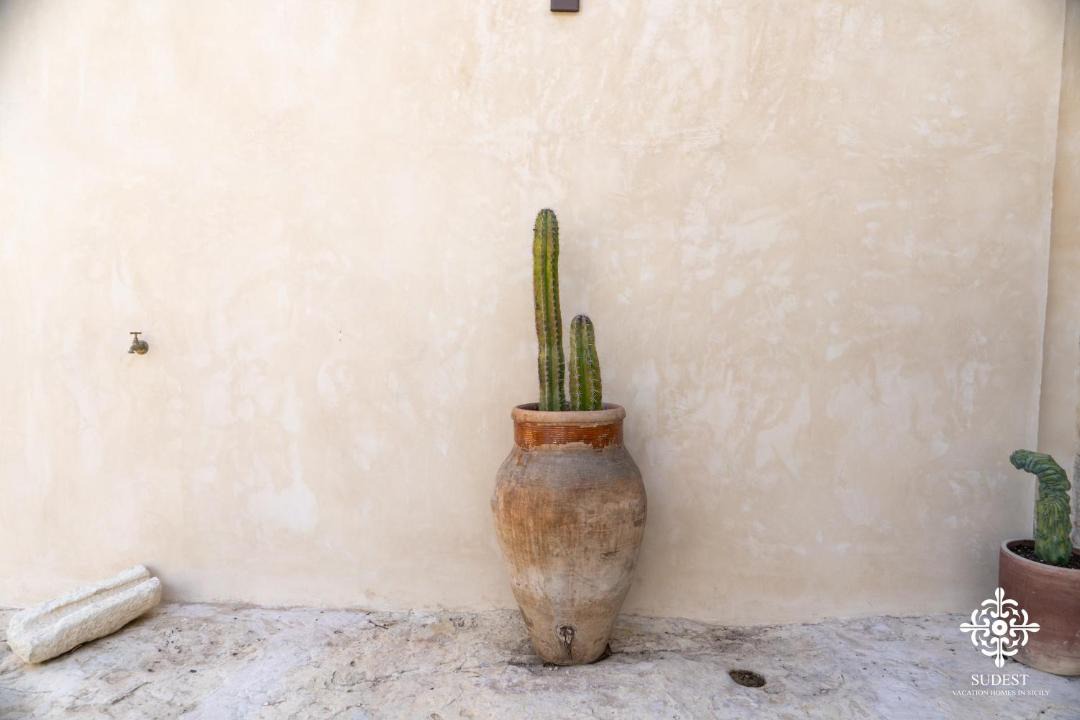 Photo of Others in Casa Papa