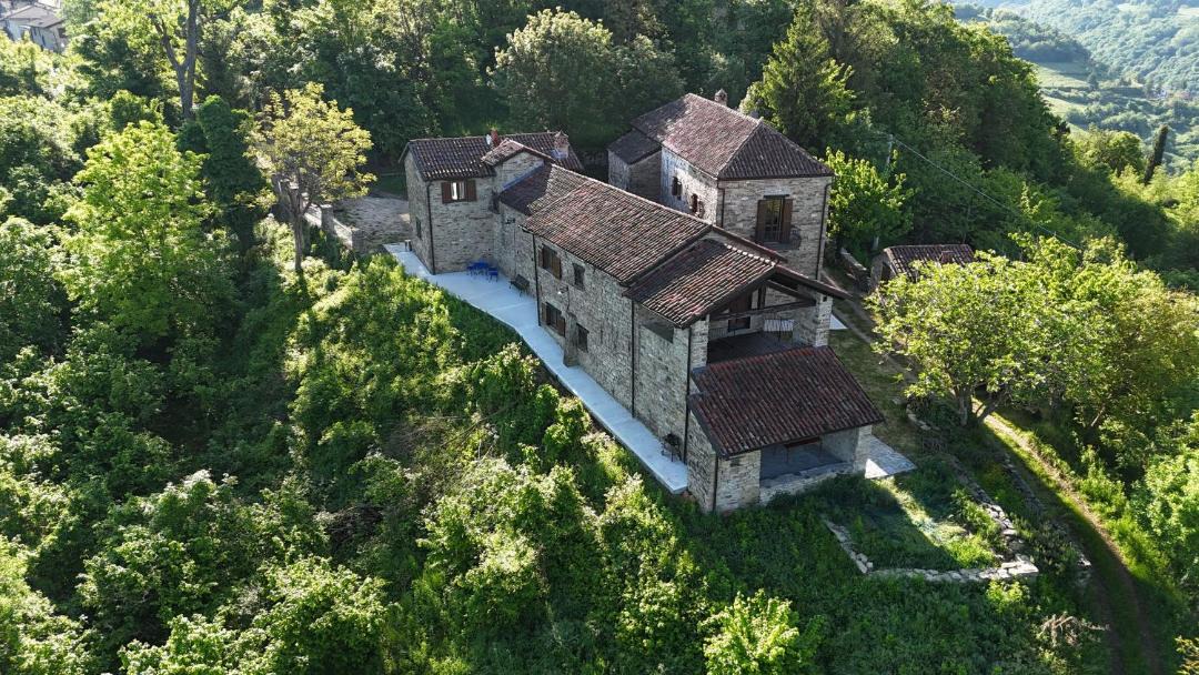 Photo of Others in Olmo Gentile