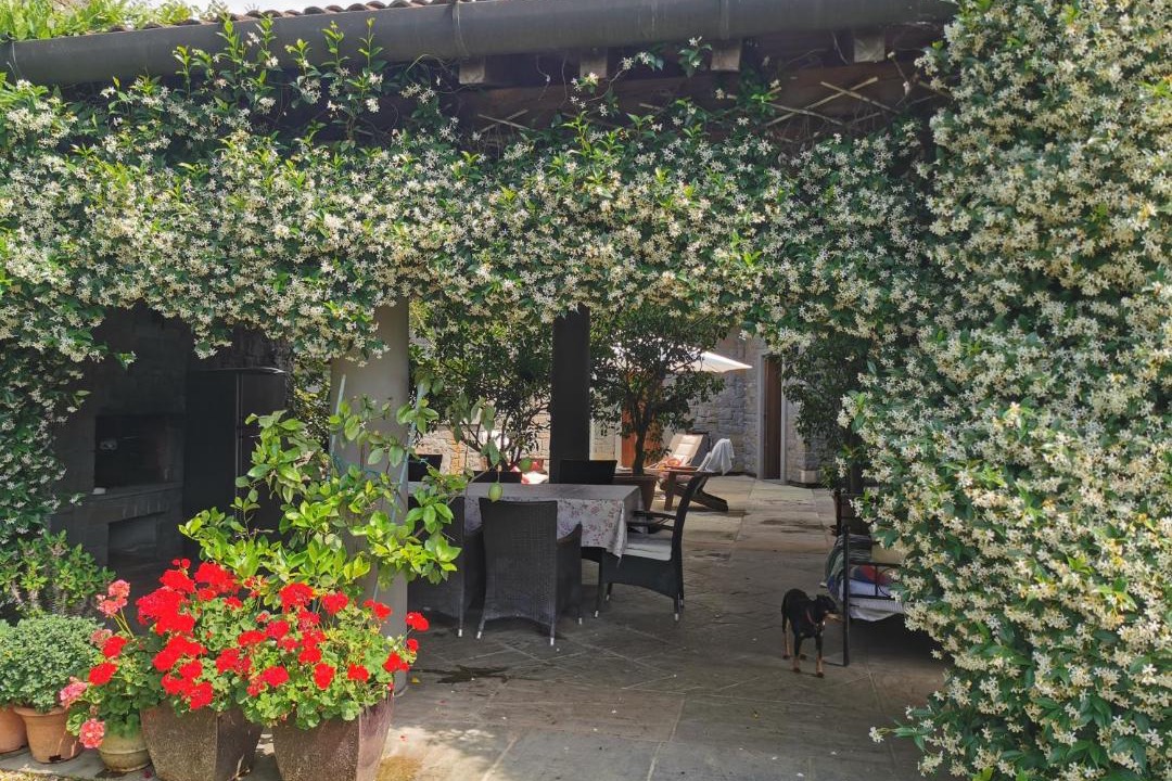 Photo of Others in Pontoglio