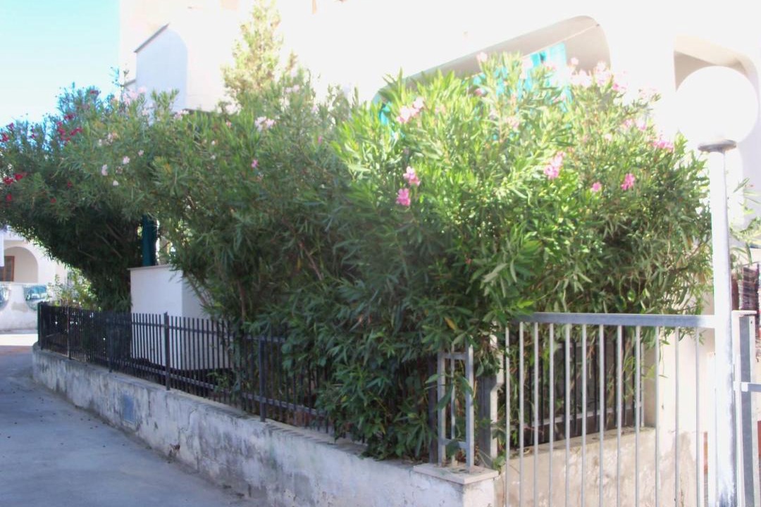 Photo of Others in Quartiere XXIV Don Bosco