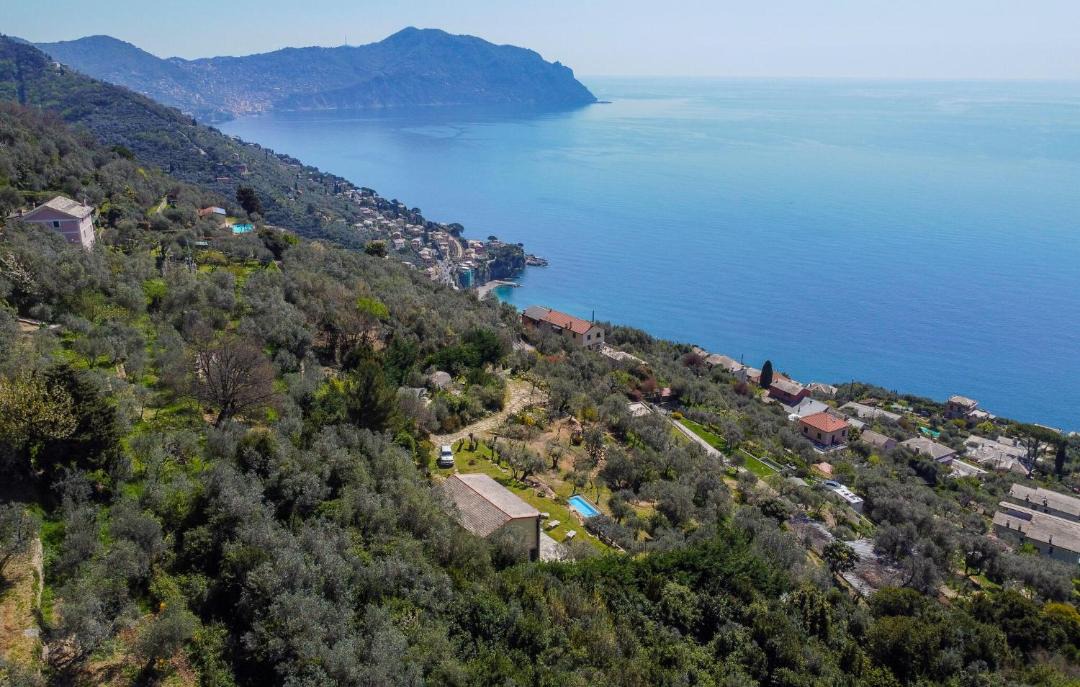 Photo of Others in Pieve Ligure